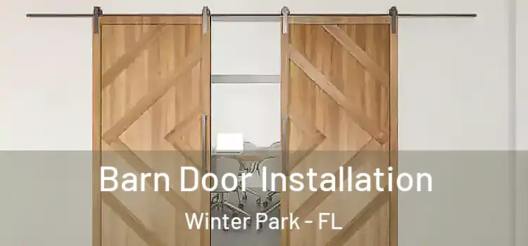 Barn Door Installation Winter Park - FL