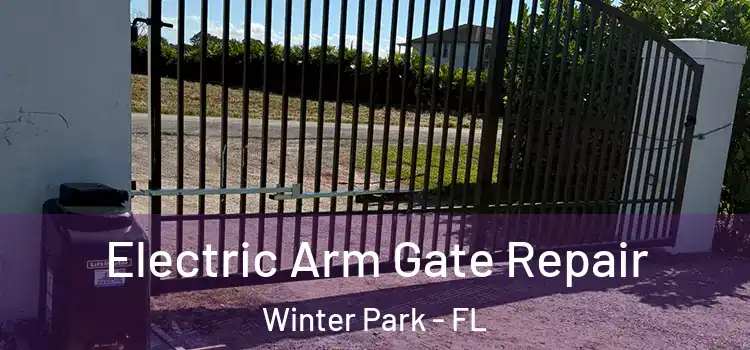 Electric Arm Gate Repair Winter Park - FL