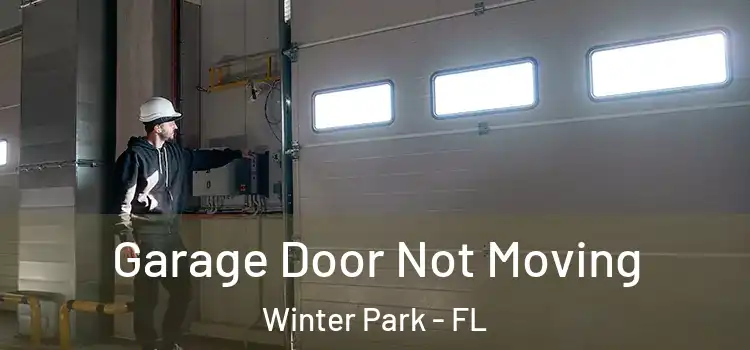  Garage Door Not Moving Winter Park - FL