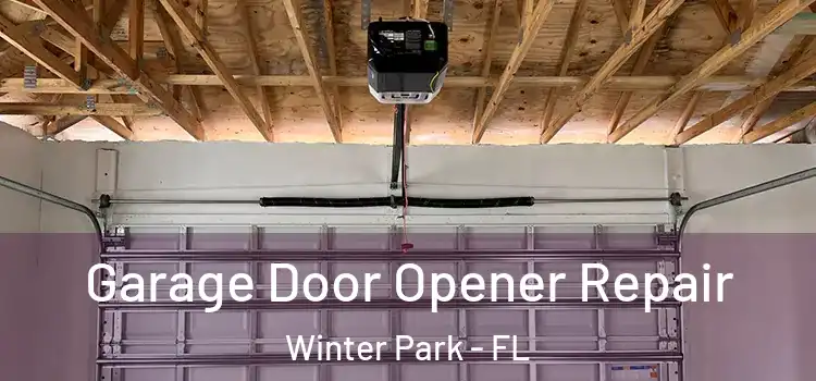  Garage Door Opener Repair Winter Park - FL