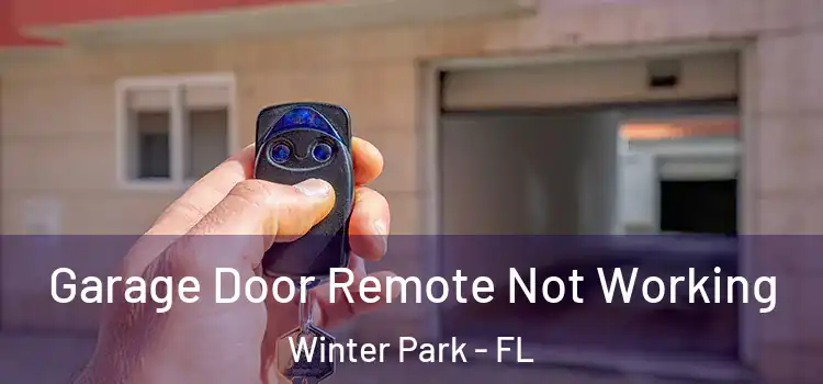  Garage Door Remote Not Working Winter Park - FL