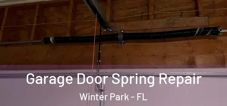  Garage Door Spring Repair Winter Park - FL