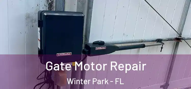 Gate Motor Repair Winter Park - FL