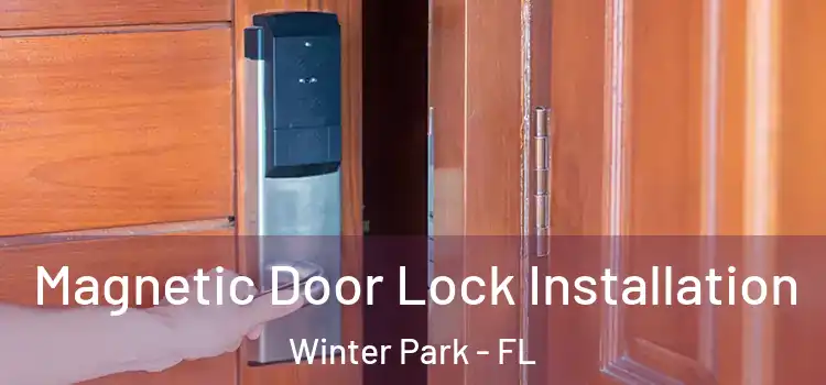  Magnetic Door Lock Installation Winter Park - FL