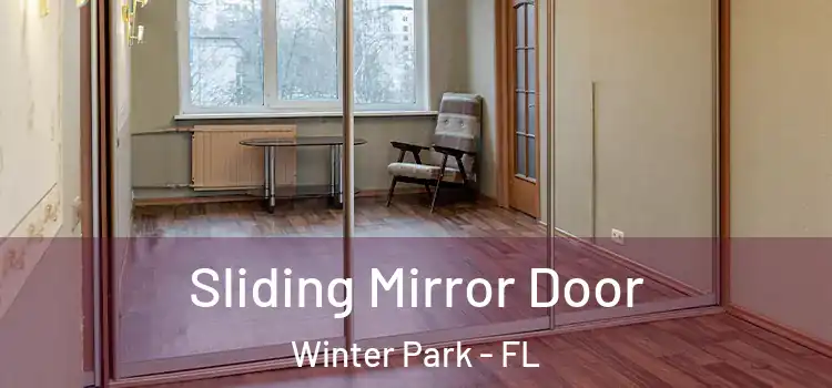  Sliding Mirror Door Winter Park - FL
