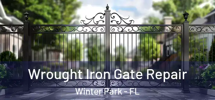 Wrought Iron Gate Repair Winter Park - FL